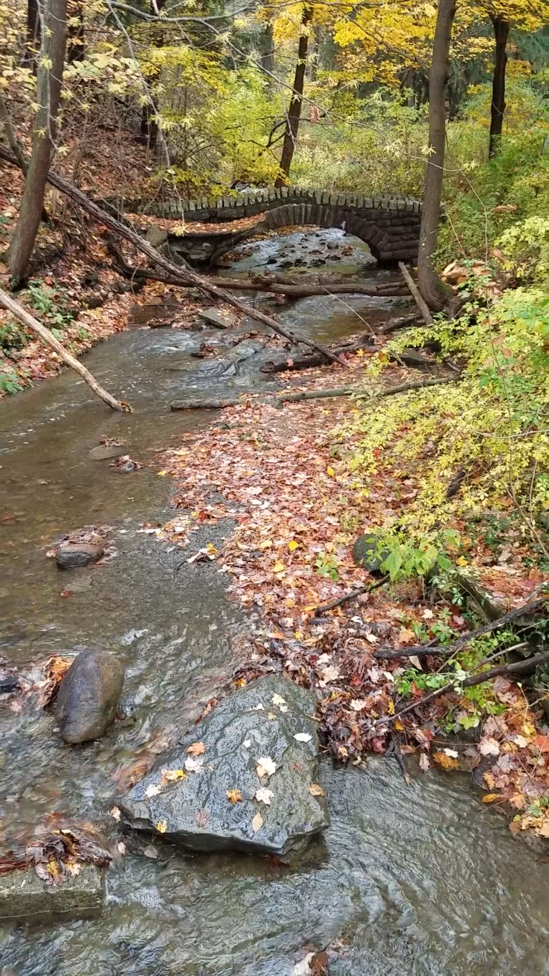 Emery Park - South Wales, NY