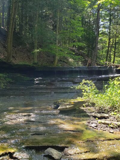 Emery Park - South Wales, NY