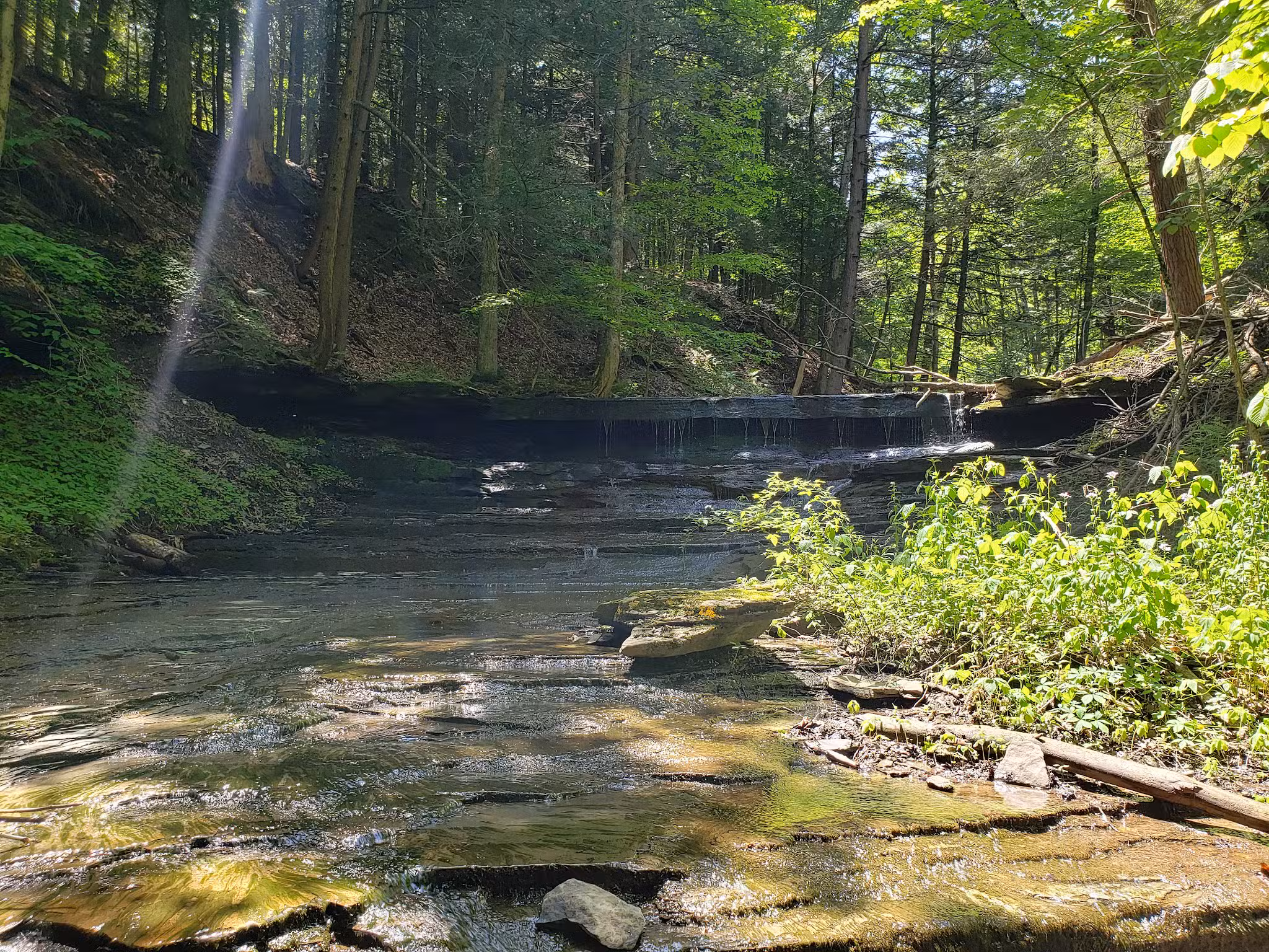 Emery Park - South Wales, NY