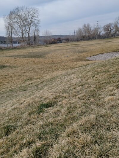 Old Fort Road Dog Park - South Weber, UT