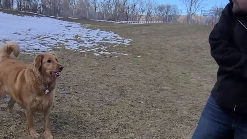 Old Fort Road Dog Park - South Weber, UT