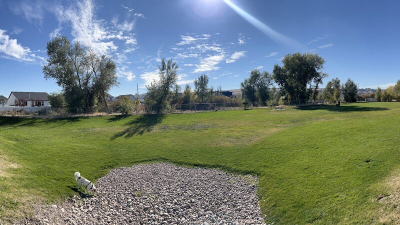 Old Fort Road Dog Park - South Weber, UT