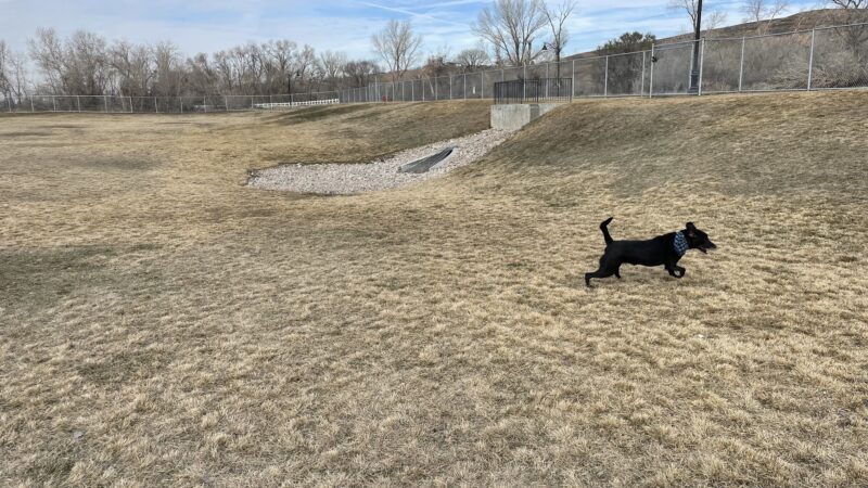 Old Fort Road Dog Park - South Weber, UT