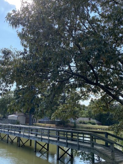 Southern Pines Park - Southaven, MS
