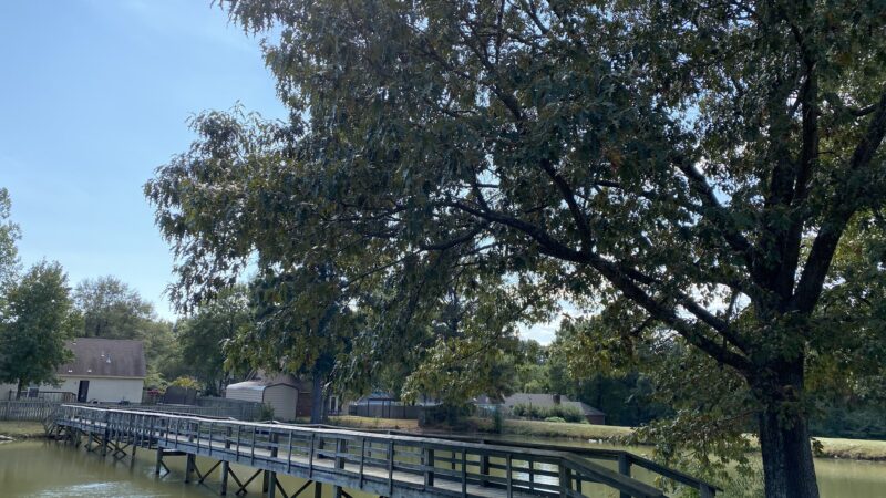 Southern Pines Park - Southaven, MS