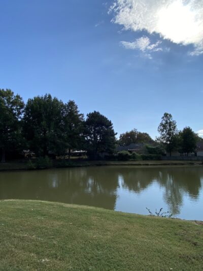 Southern Pines Park - Southaven, MS