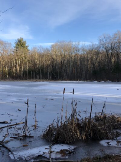 Beals Preserve - Southborough, MA