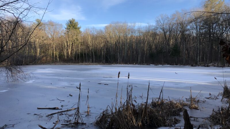 Beals Preserve - Southborough, MA
