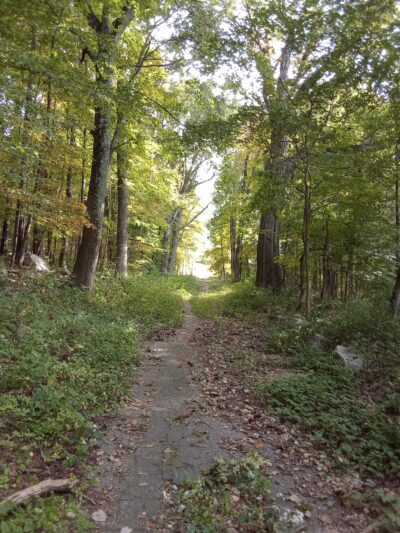 Westville Lake Community Path - Southbridge, MA