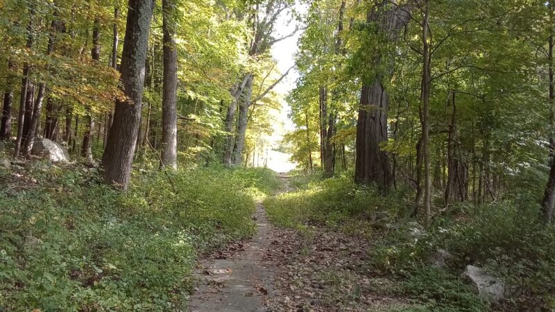 Westville Lake Community Path - Southbridge, MA