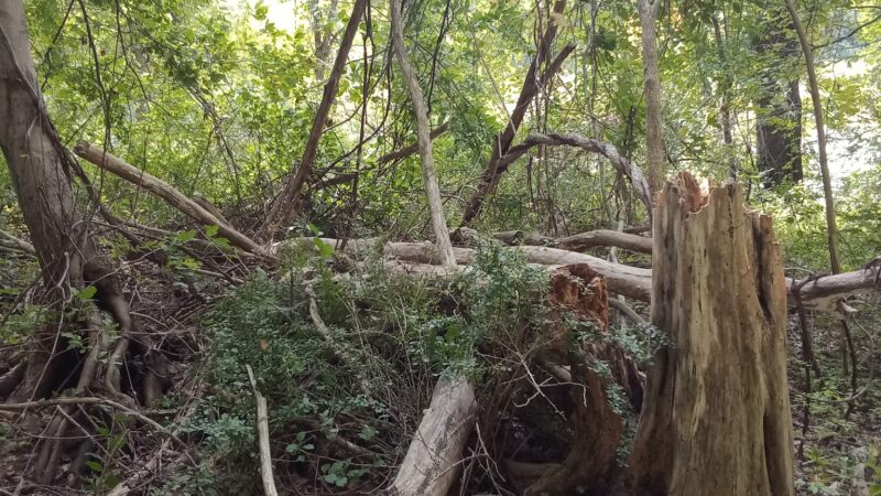 Westville Lake Community Path - Southbridge, MA