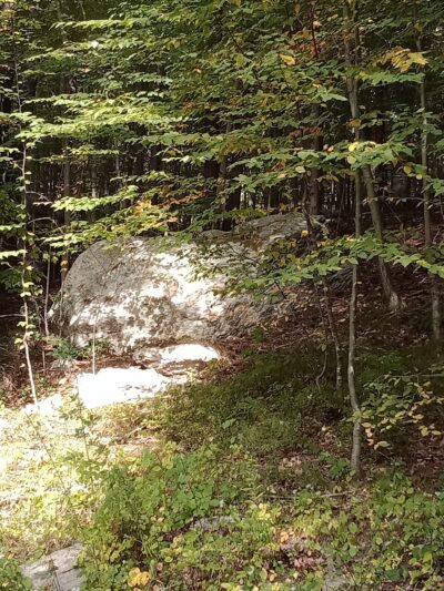 Westville Lake Community Path - Southbridge, MA