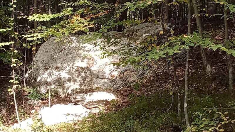 Westville Lake Community Path - Southbridge, MA