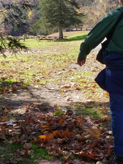 Kettletown State Park - Southbury, CT