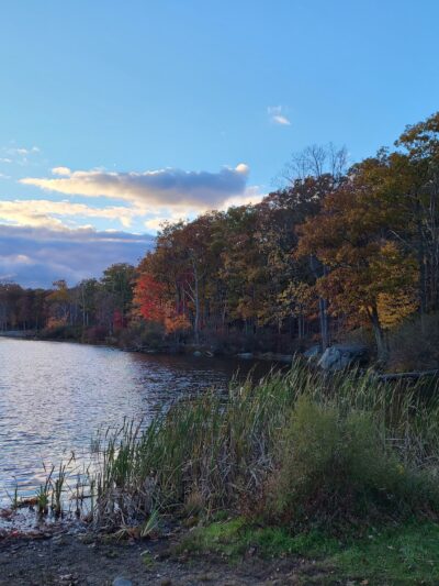 Arden-Surebridge / Long Path Trailheads - Southfields, NY