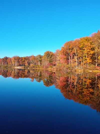 Arden-Surebridge / Long Path Trailheads - Southfields, NY