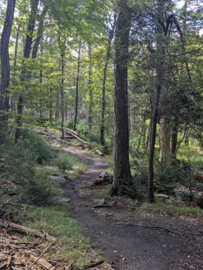 Arden-Surebridge / Long Path Trailheads - Southfields, NY