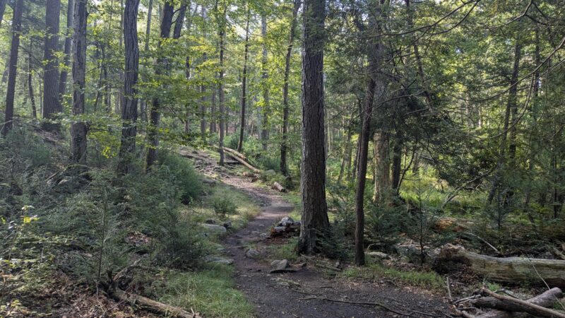 Arden-Surebridge / Long Path Trailheads - Southfields, NY