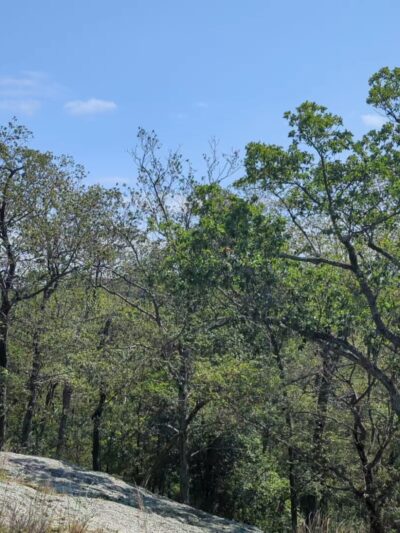Arden-Surebridge / Long Path Trailheads - Southfields, NY