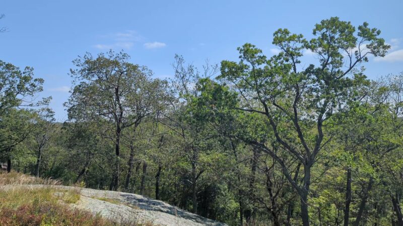 Arden-Surebridge / Long Path Trailheads - Southfields, NY