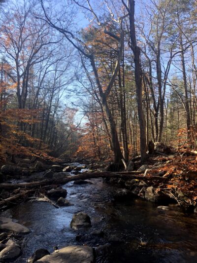Harriman State Park - Southfields, NY