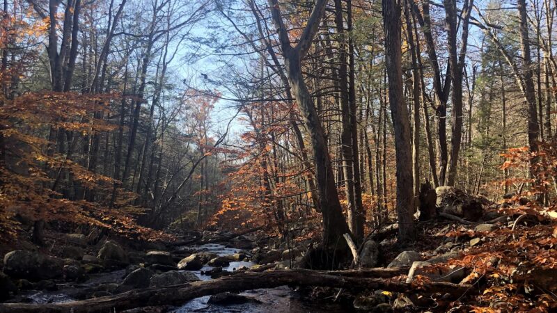 Harriman State Park - Southfields, NY