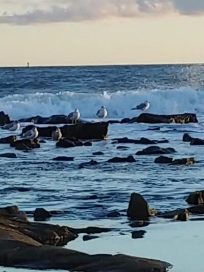 Seawall Picnic Area - Southwest Harbor, ME
