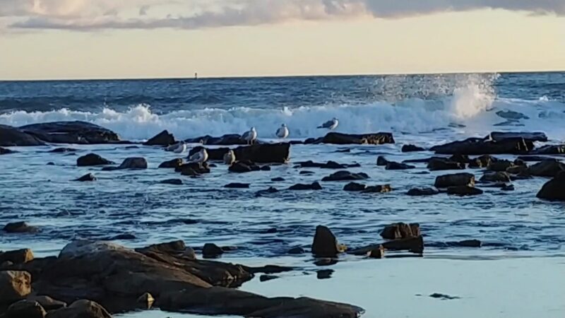 Seawall Picnic Area - Southwest Harbor, ME