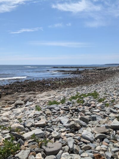 Seawall Picnic Area - Southwest Harbor, ME