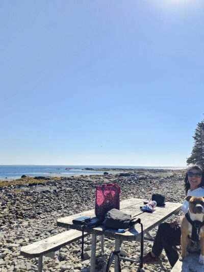 Seawall Picnic Area - Southwest Harbor, ME