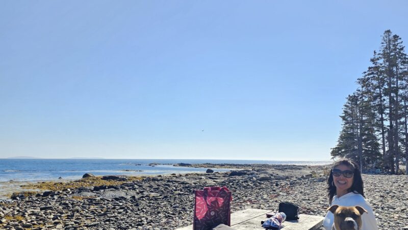 Seawall Picnic Area - Southwest Harbor, ME