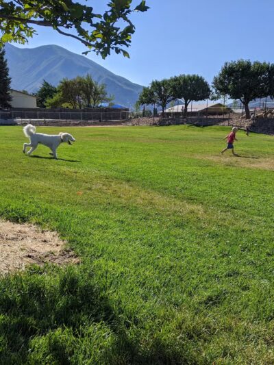 Spanish Fork Dog Park - Spanish Fork, UT