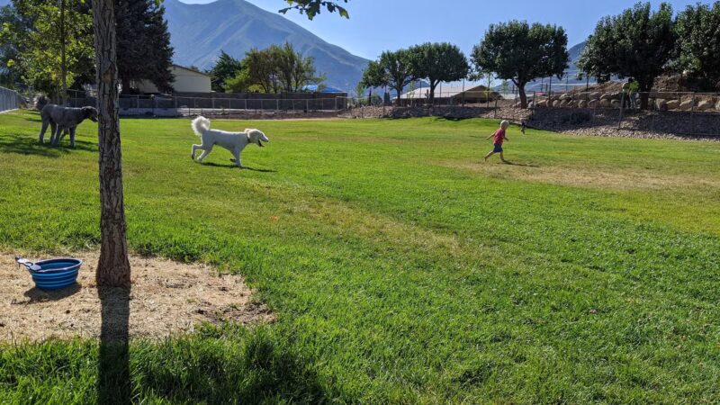 Spanish Fork Dog Park - Spanish Fork, UT