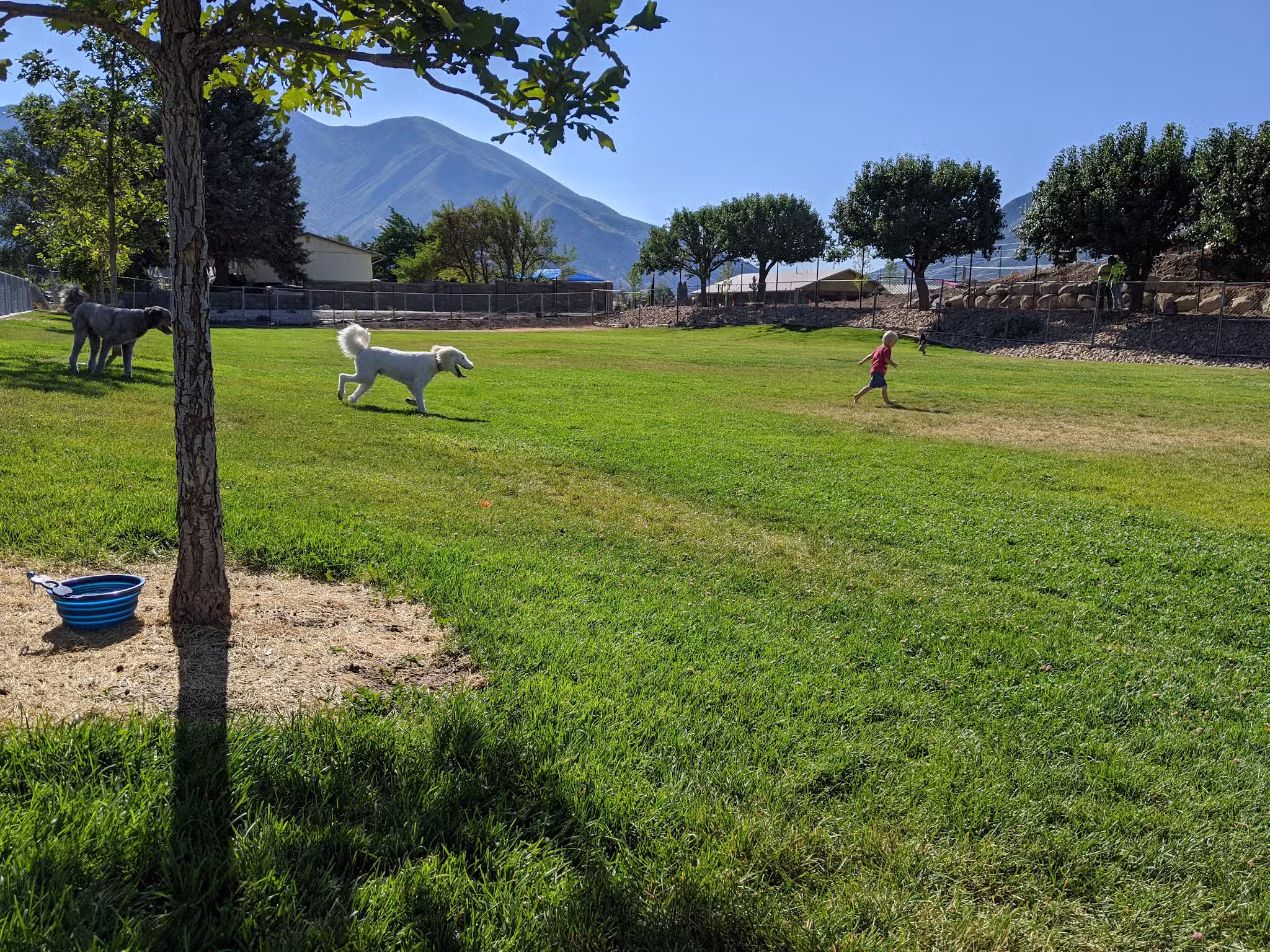 Spanish Fork Dog Park - Spanish Fork, UT