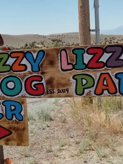 Dizzy Lizzie’s Dog Park - Spanish Springs, NV