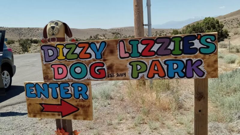 Dizzy Lizzie’s Dog Park - Spanish Springs, NV