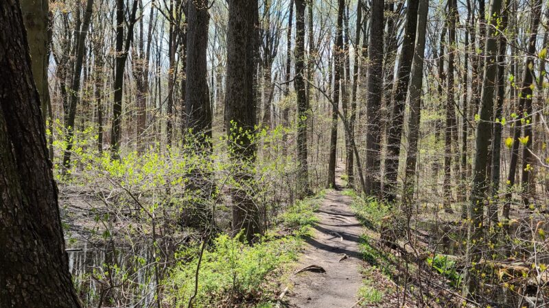 Tallman Mountain State Park - Sparkill, NY