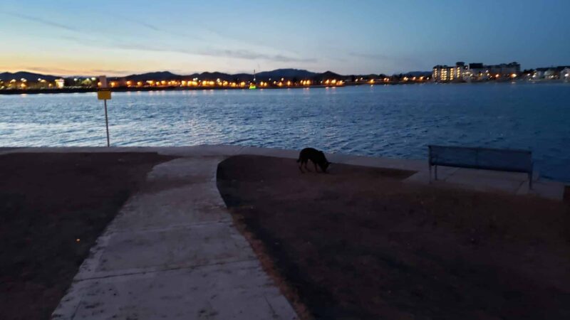 Sparks Marina Dog Park - Sparks, NV