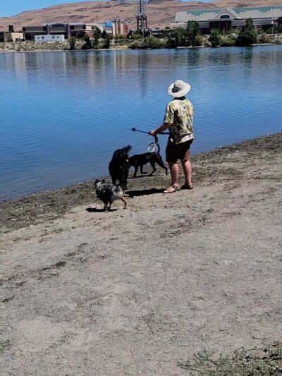Sparks Marina Dog Park - Sparks, NV