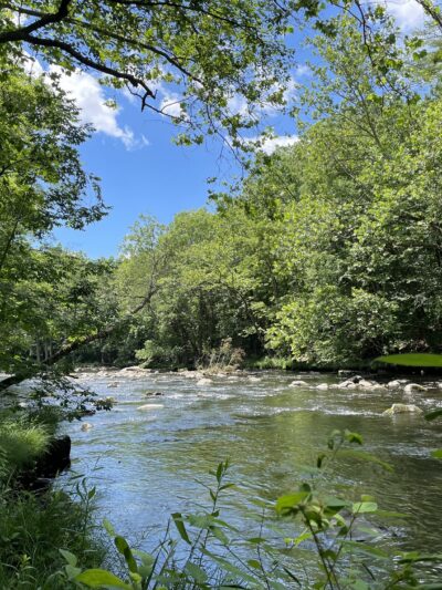 Mongaup River Trail - Sparrow Bush, NY