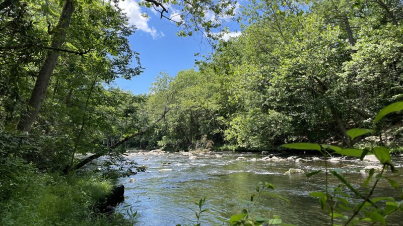 Mongaup River Trail - Sparrow Bush, NY