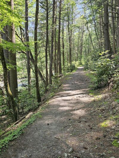 Mongaup River Trail - Sparrow Bush, NY