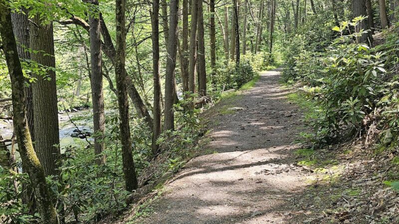 Mongaup River Trail - Sparrow Bush, NY