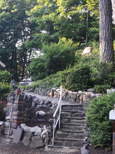 LMCC Hilltop Lakeview Park - Sparta, NJ