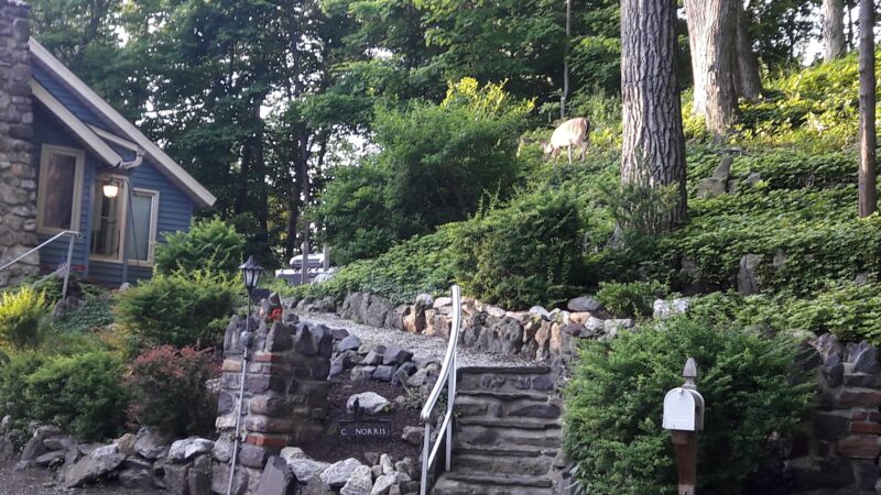 LMCC Hilltop Lakeview Park - Sparta, NJ