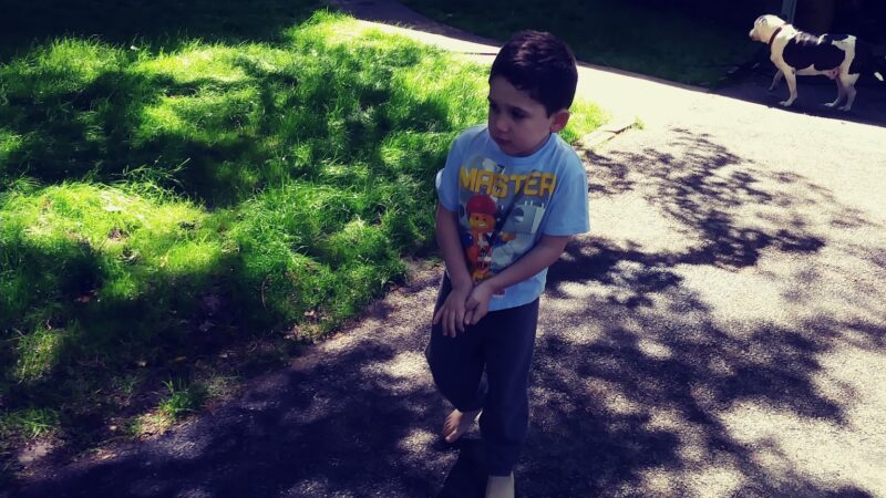 LMCC Hilltop Lakeview Park - Sparta, NJ