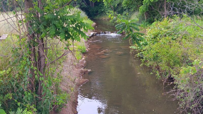Veterans Park - Sparta, NC