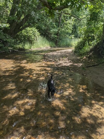 Veterans Park - Sparta, NC