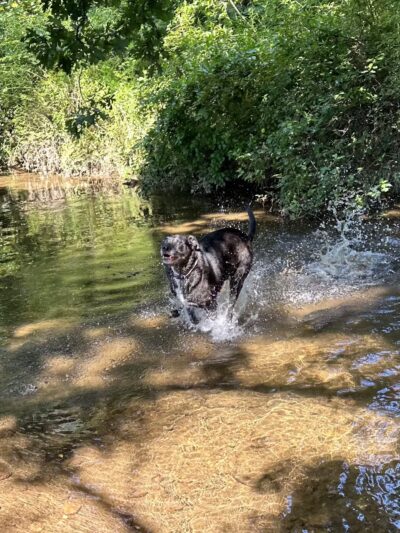 Veterans Park - Sparta, NC