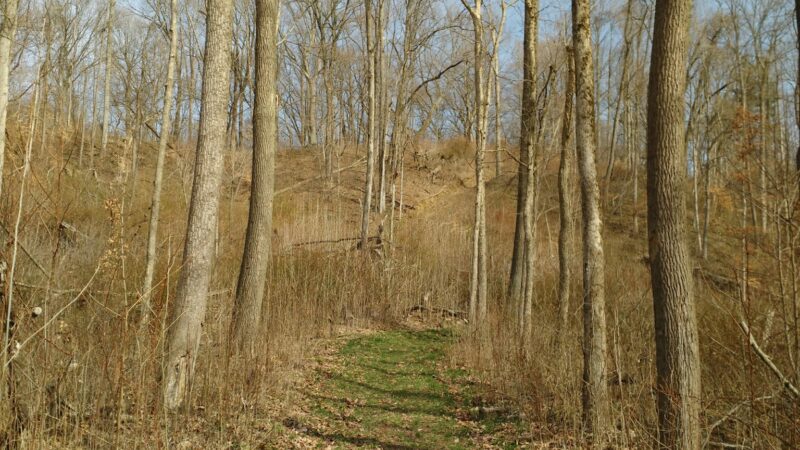 Owen County Veterans Memorial Park - Spencer, IN